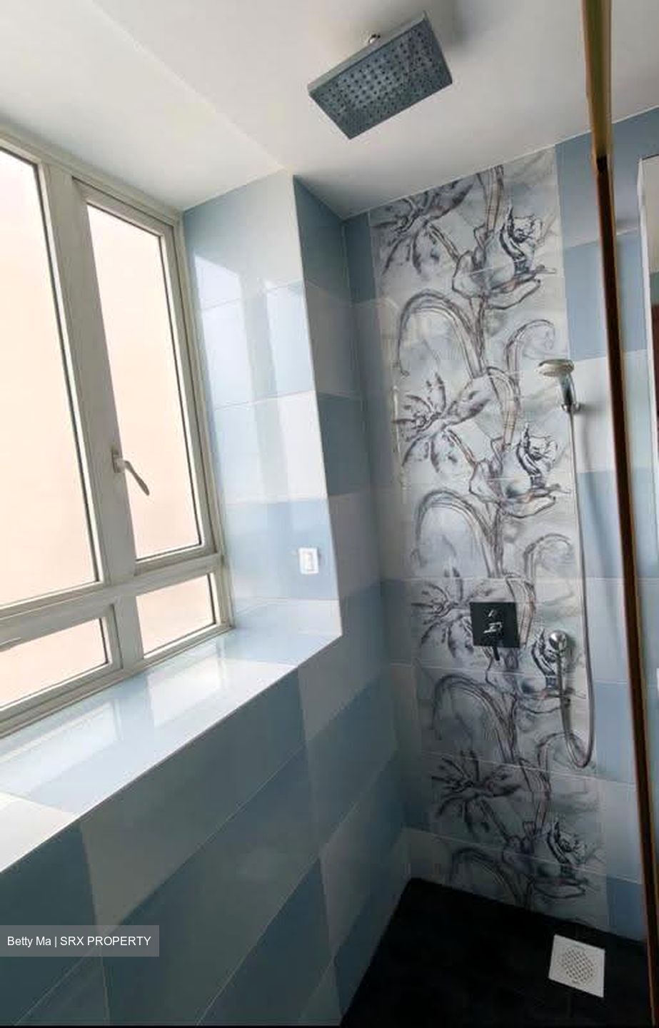 Goldenhill Park Condominium (D20), Condominium #626032861